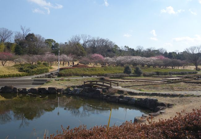 「ディノアドベンチャー」は有料です。広い公園なので，遊ぶところはいっぱいあります。