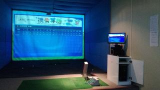 X-Zone Screen Golf