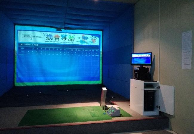 X-Zone Screen Golf