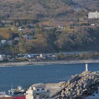 部屋からは、伊豆急線の特急電車も見えます。