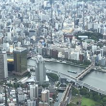 前日訪れた浅草が見えて喜ぶ母