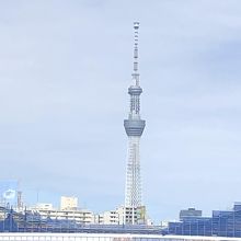 神田川クルーズの船の上から見えるスカイツリー