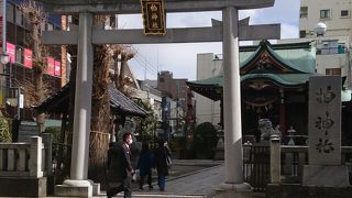 柏神社♪