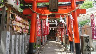 朱の鳥居が並ぶ