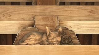 四天王寺の七不思議「猫の門」を探そう