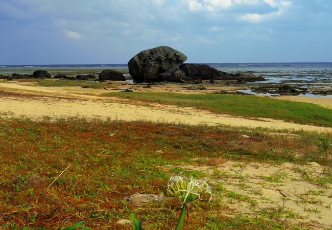 大瀬海岸 クチコミ アクセス 営業時間 奄美大島 フォートラベル