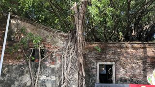 台湾のタ・プローム（カンボジアの遺跡）