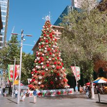 広場に飾られたクリスマスツリー