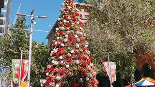 12月ツリーの飾られた広場「マーティン　プレイス」　シドニー