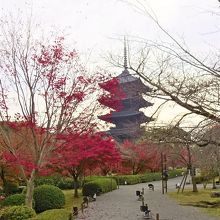 紅葉とマッチしてすばらしい景観である