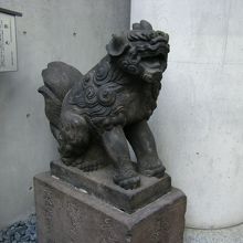 築土神社 狛犬 
