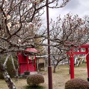 城跡を公園にしたところ