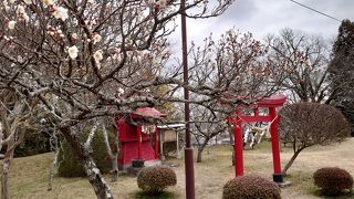 蜂谷森公園