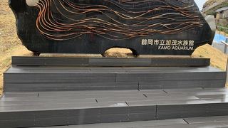 クラゲ水族館！