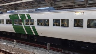 2020年３月20日現在、東京９時00分発の列車は国鉄製の１８５系での運転でした