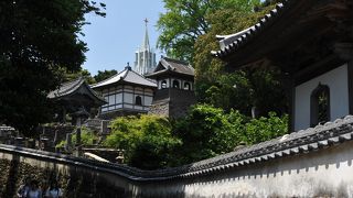 あらゆるものが交錯