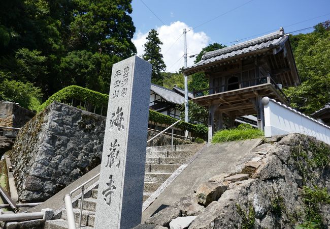 桜の名所のようです