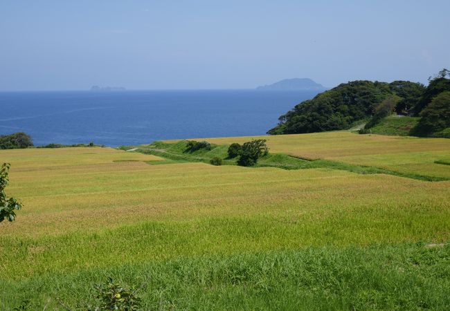 新井の千枚田