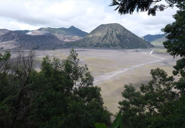 ジャワ島東部に広がる火山地帯の国立公園