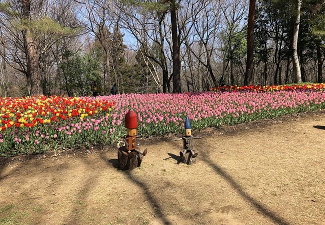 国営武蔵丘陵森林公園 クチコミ アクセス 営業時間 小川 嵐山 フォートラベル
