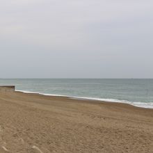 表浜海岸