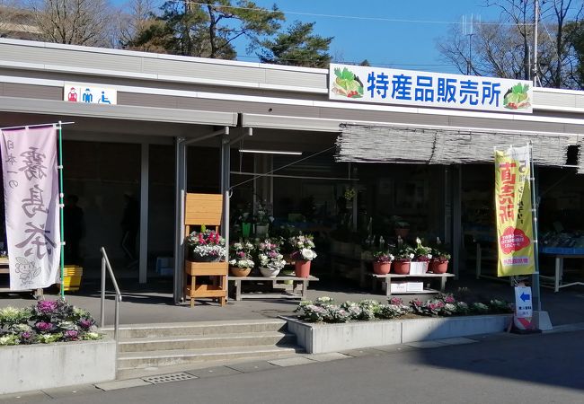 地元の野菜がいっぱい