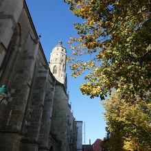 大きいです。高いです。