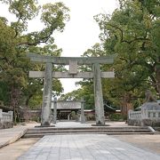 日本書紀や古事記にも記載がある應神天皇降誕の聖地、天然記念物の大楠が見事