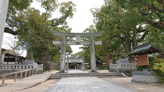 日本書紀や古事記にも記載がある應神天皇降誕の聖地、天然記念物の大楠が見事