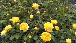 旧英国総領事館の前に