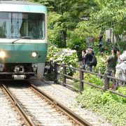 江ノ電と紫陽花が有名な神社