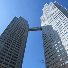 東(隅田川)方向の屋外広場から見上げた様子