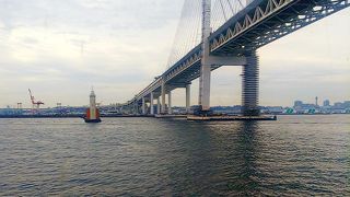 下から見上げました