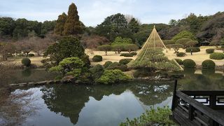 都会の中の癒しスポット