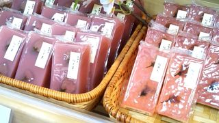 ひと足早い春を満喫