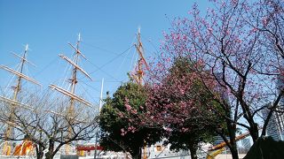 コロナによる臨時休園で周辺も閑散と～！