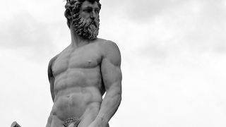 モデルはコジモ１世？