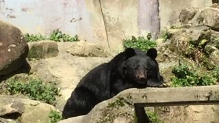 高低差があります