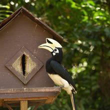 Pangkor Laut Resort - Small Luxury Hotels of the World