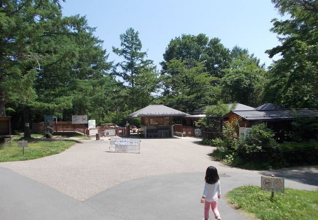 小鳥と小動物の森(アルプス公園内)