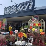 道の駅にあるお土産屋さん