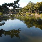 様々な景色が楽しめる日本庭園