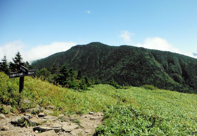 頂上は意外と地味