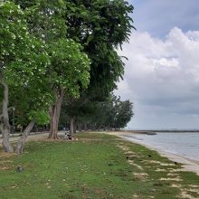 木陰も多い浜辺沿いの公園です。