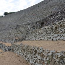 オドロキです。