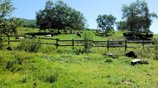 四阿山・根子岳登山道の起点
