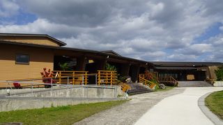 ガイドツアーに参加 （やんばる学びの森）