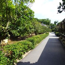 熱帯フルーツ園