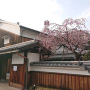 酒蔵の資料が充実、桜も咲いてました