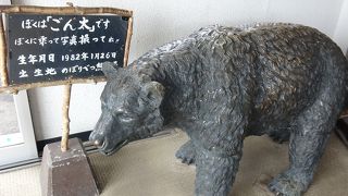 大きなヒグマがお出迎え